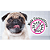 Álcool Gel Alcat Patas de Pets CatMyPet - Imagem 4