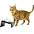 Comedouro CatMyPet Snack Cat Vermelho - Imagem 5
