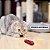 Brinquedo Joaninha Interativa Para Gatos - Imagem 5