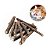 Kit 10 Varas Matatabi Cat Nip Graveto Erva De Do Gato Saúde Matatabi Cat - Imagem 1