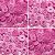BOTÃO DE PRESSÃO RITAS N°12 - PINK 33 - Imagem 1