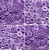 BOTÃO DE PRESSÃO RITAS N°12 - VIOLETA 75 - Imagem 1