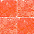 BOTÃO DE PRESSÃO RITAS N°12 - LARANJA CÍTRICO 94 - Imagem 1