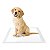 Kit 4 Tapete Higiênico Cachorro Pet 120Un 60x60cm Alta Absorção - Imagem 4