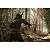 Assassins Creed Shadows Deluxe Edition Xbox Series X|S - Imagem 2