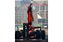 *** PRÉ-ORDER *** Fórmula 1 McLaren MCL40 Mastercard Team Winner Dutch GP 2026 C/ Figura 1:64 Spark QTD3 - Imagem 1