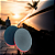 CarPro Polyshave Pad | Disco Claybar Para Descontaminação de Pintura | Rápido e Reutilizável | REF:5430 - Imagem 3