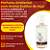 Aromatizante Go Eco Wash 1L com Fragrância Cítrica de Açaí | Perfume de Alta Fixação e Rendimento | REF:5235 - Imagem 3