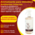 Aromatizante Go Eco Wash 1L com Fragrância Cítrica de Açaí | Perfume de Alta Fixação e Rendimento | REF:5235 - Imagem 4