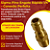 Engate Rápido Sigma Snow Macho 1/4” para Canhão de Espuma | Alta Vedação e Durabilidade | REF:6461 - Imagem 2