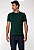Camiseta Alto Revelo Guess Verde Escuro - Imagem 1