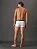Kit 3 Cuecas Low Rise Trunk Calvin Klein Underwear Original - Imagem 3