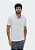 Camisa Polo Hering Básica Masculina Em Piquet - Imagem 1