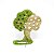 Alinhavo Árvore Macieira - Pachu - Imagem 4