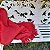 Manta Tear Casal Algodão Vermelho Liso 1,80x2,20m - Imagem 3