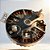 Motor de Propulsão Drone Dji Agras T100 BC.AG.SS001102 - Imagem 4