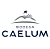 Caelum, Blend Blanco Reserva 2021 750ML - Imagem 2