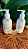 Creme Hidratante Natural - Imagem 2