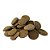 RACAO PRODAC ALGAE WAFERS 125G - Imagem 3