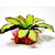 PLANTA MIX SOMA PAISAGEM 31 - Imagem 1