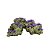 ENFEITE DE RESINA SOMA ROCHA DECO ZOANTHUS ROXO - Imagem 1