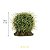 ENFEITE DE RESINA SOMA PLANTA CACTUS 106 - Imagem 4