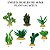 ENFEITE DE SILICONE SOMA PLANTA CACTUS 03 - Imagem 1