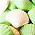 Sabonete Concha Shell Avulsas - Imagem 1