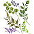 STENCIL STM-752 - FOLHAS - Imagem 2