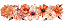 Transfer Têxtil TTB4L-003 Barrado - Floral Laranja - Imagem 1