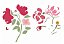 Stencil Flor Aquarela OPA 3034 - Imagem 2
