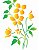 Stencil Flor do Campo - OPA 1405 - Imagem 1
