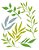 Stencil STRL-018 - Folhas Diversas Maiores - Imagem 1