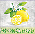 Guardanapo de Papel Lemon branch - Unidade - Imagem 1