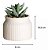 Vaso de Suculenta Artificial em Dolomita Branco 8X10,5cm - Paramount - Imagem 2
