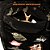 MOCHILA INVICTUS CITIZEN - MULTICAM BLACK/PRETO - Imagem 6