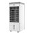 Climatizador de Ar Cadence Ventilar Duo Tank CLI306 110V - Imagem 2