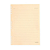 Refil Caderno Organizador Polen Pautado 17X24 Cicero - Imagem 2