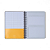 Caderno Universitario Pautado 10 Matérias 160f Aromas Off White Polen Cicero - Imagem 4