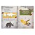 Livro Leia e Brinque O Mundo dos Dinossauros Tricerátopo - Imagem 2