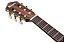 Violão Nylon Eletroacústico Rose Flat Ibanez FRH10N-RGF - Imagem 5