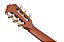 Violão Nylon Eletroacústico Rose Flat Ibanez FRH10N-RGF - Imagem 6