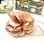 Choker Flor Seda Bege - Imagem 1