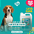 Lava Canil 5L Clineza Limpa Higieniza Tira Odor Perfume Longa duração - Imagem 2