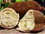Polpa de Cupuaçu puro tesourado  - 1kg - Imagem 1