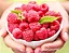 Framboesa frutas inteiras congeladas - 1kg - Imagem 1