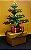 Árvore de Natal Bonsai na caixinha de madeira (M) - Imagem 1