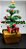 Árvore de Natal Bonsai na caixinha de madeira (M) - Imagem 2