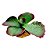 ENFEITE DE SILICONE SOMA PLANTA SUCULENTA 04 - Imagem 1