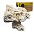 ROCHA MARINHA SOMA MICROSFERA REEF PLATE PEDESTAL NATURAL TOP 5UN (CX) - Imagem 1